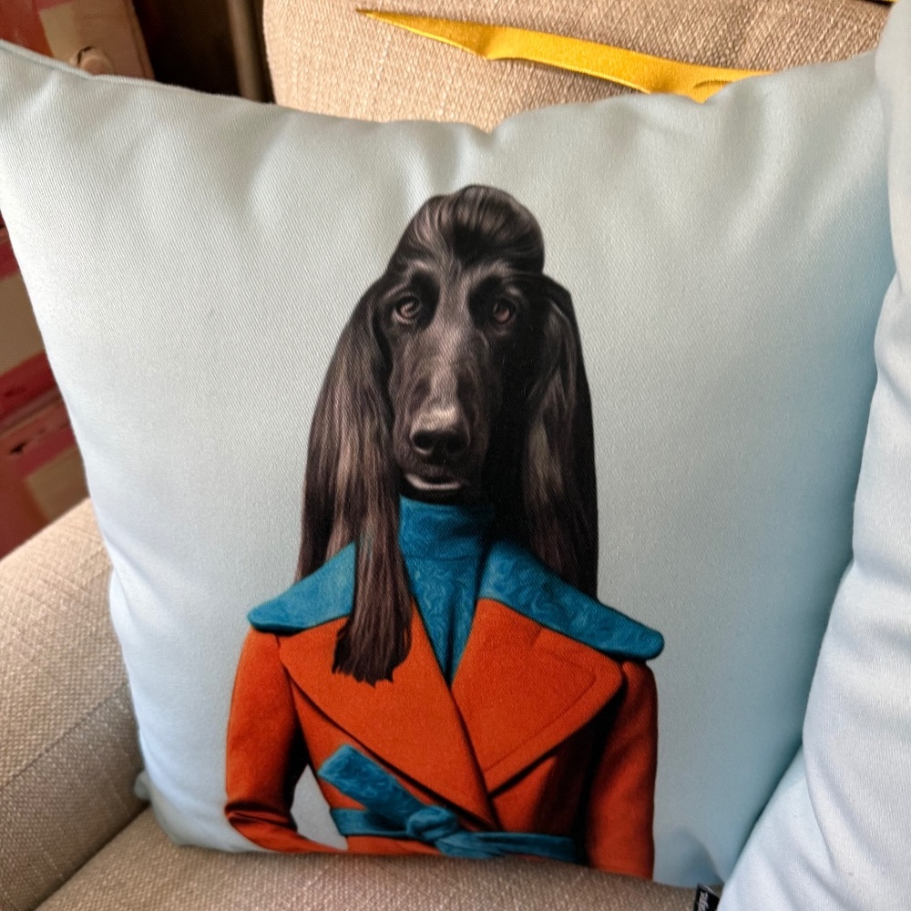 Pair of Fun Dog Themed Pillows